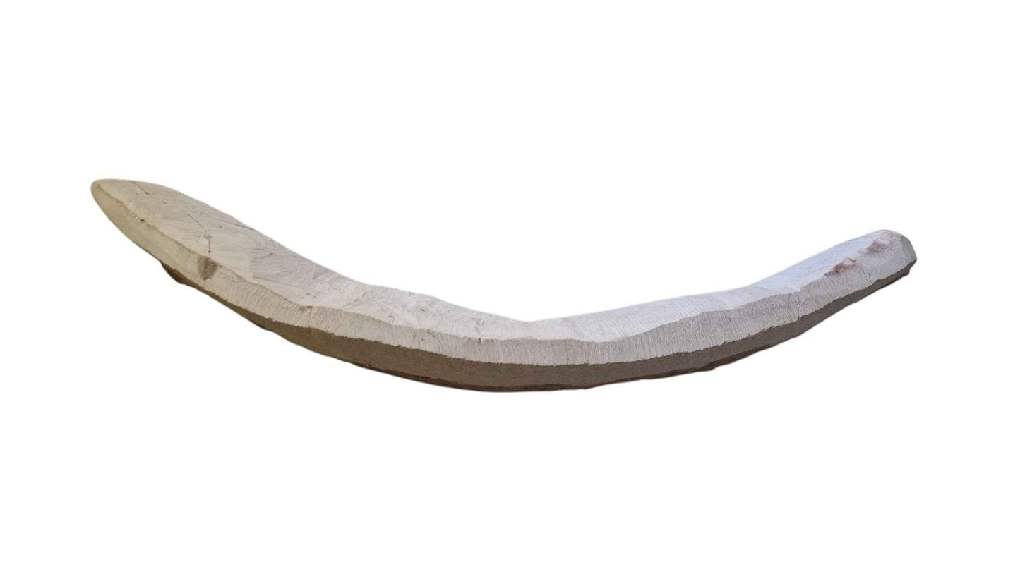 Goulmimichthys arambourgi - Cretaceous Predator Fish - authentic fossil specimen, natural history by Fossils NH