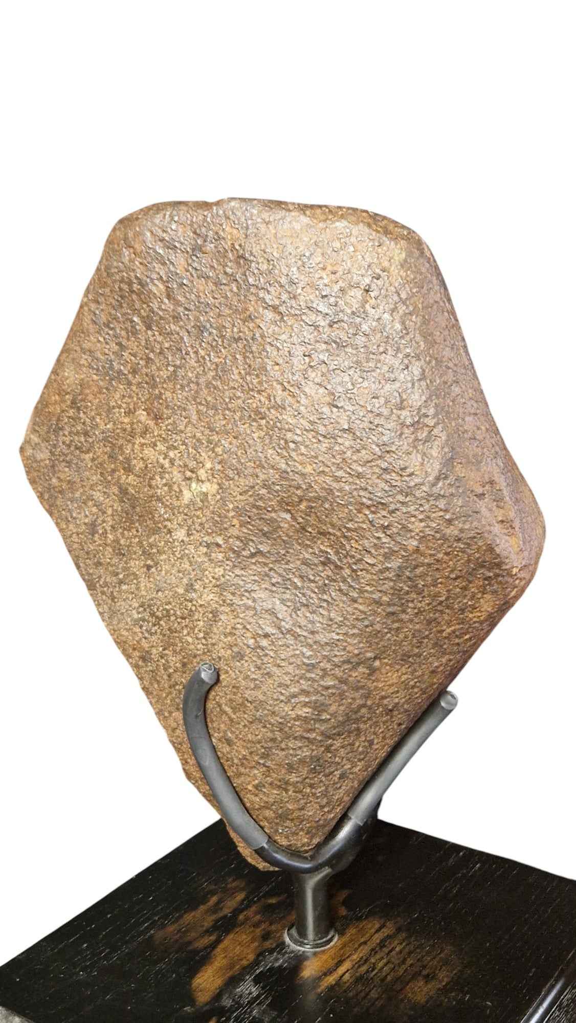 Meteorite On Stand 14kg - authentic fossil specimen, natural history by Fossils NH