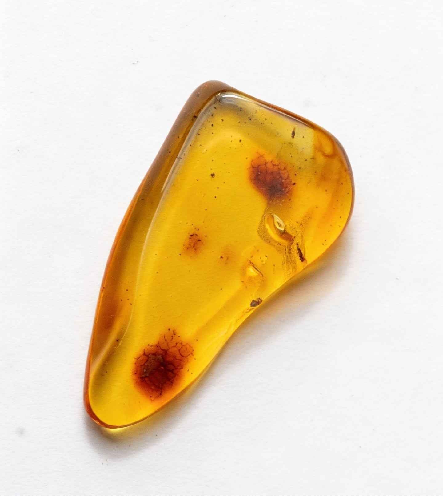 Amber with Insect Inclusion – Eocene Fossil 3,2cm