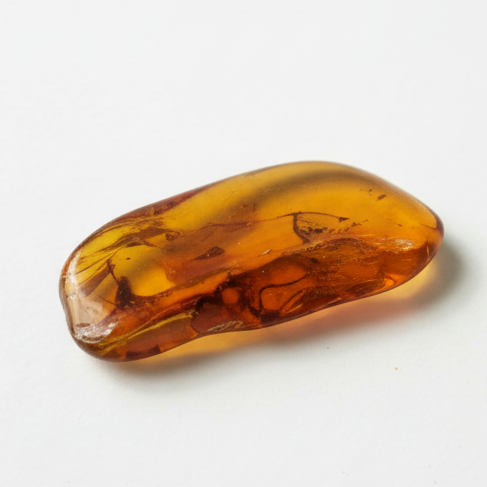 Amber with Multiple Insect Inclusions – Eocene Fossil 4,5 cm