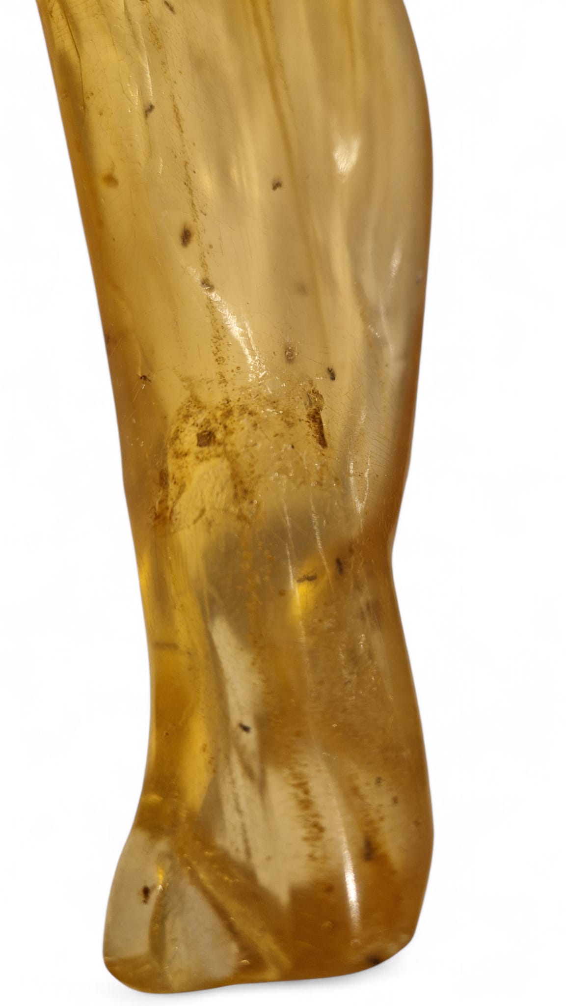 Amber with insect inclusions 48