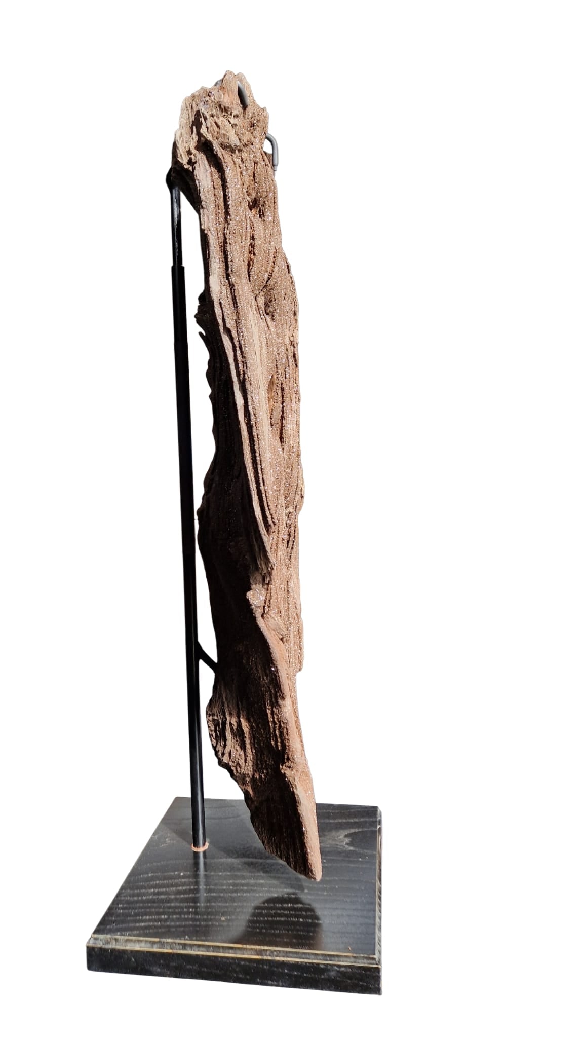 Fossilized Wood 101cm – Petrified Wood on Metal Stand | Germany 7