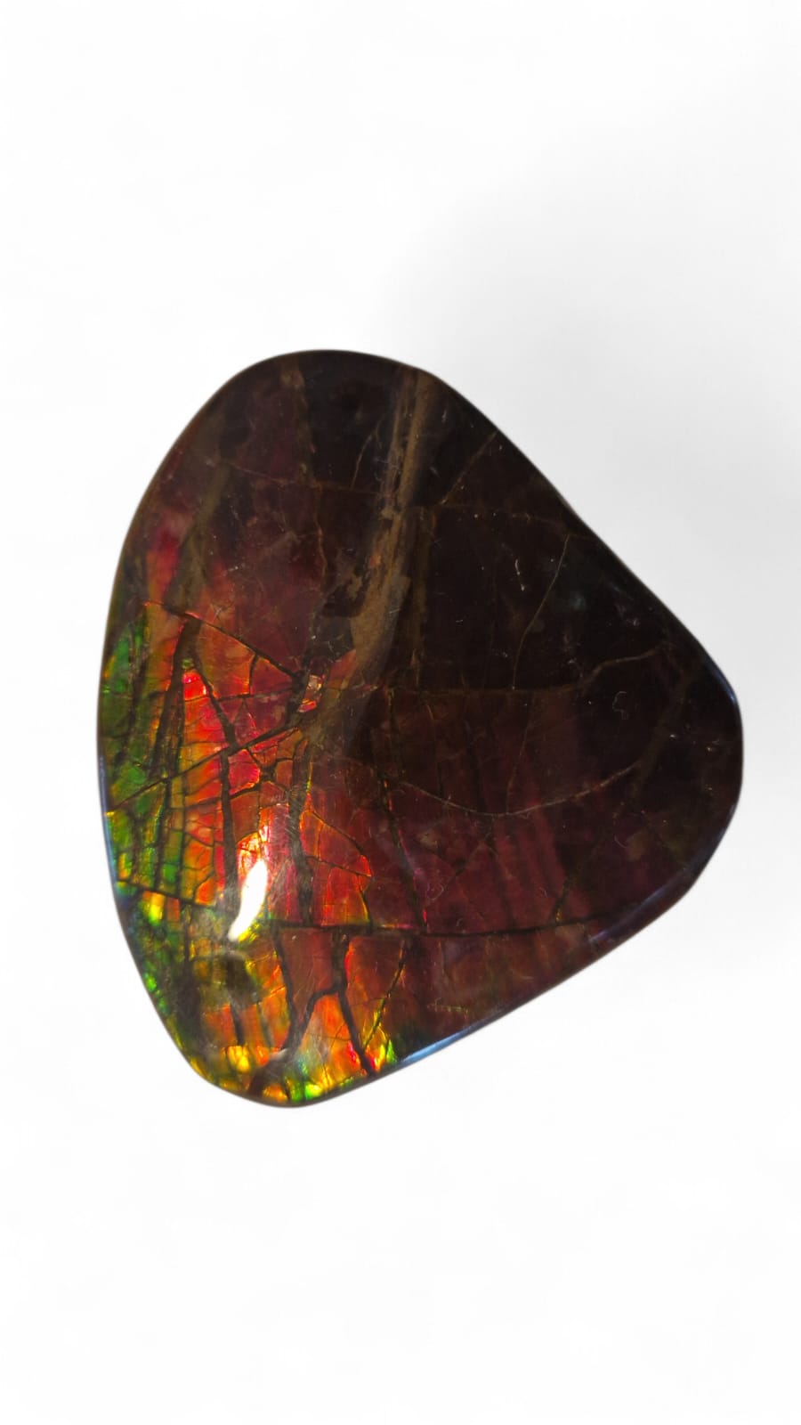 Red ammolite gemstone Canada 11