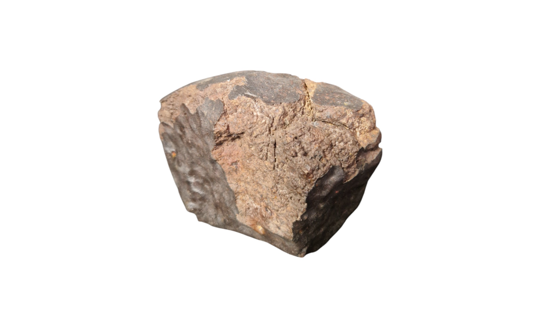 Meteorites - authentic fossil specimen, natural history by Fossils NH