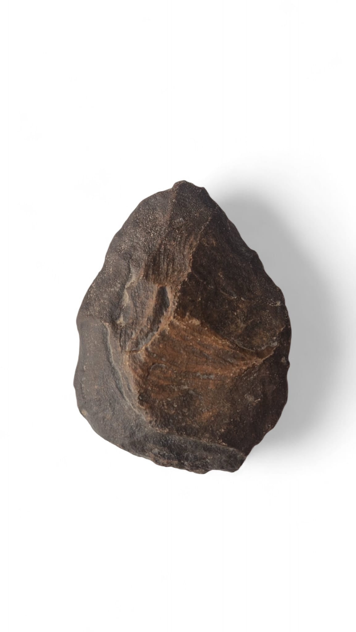 Prehistoric Tools