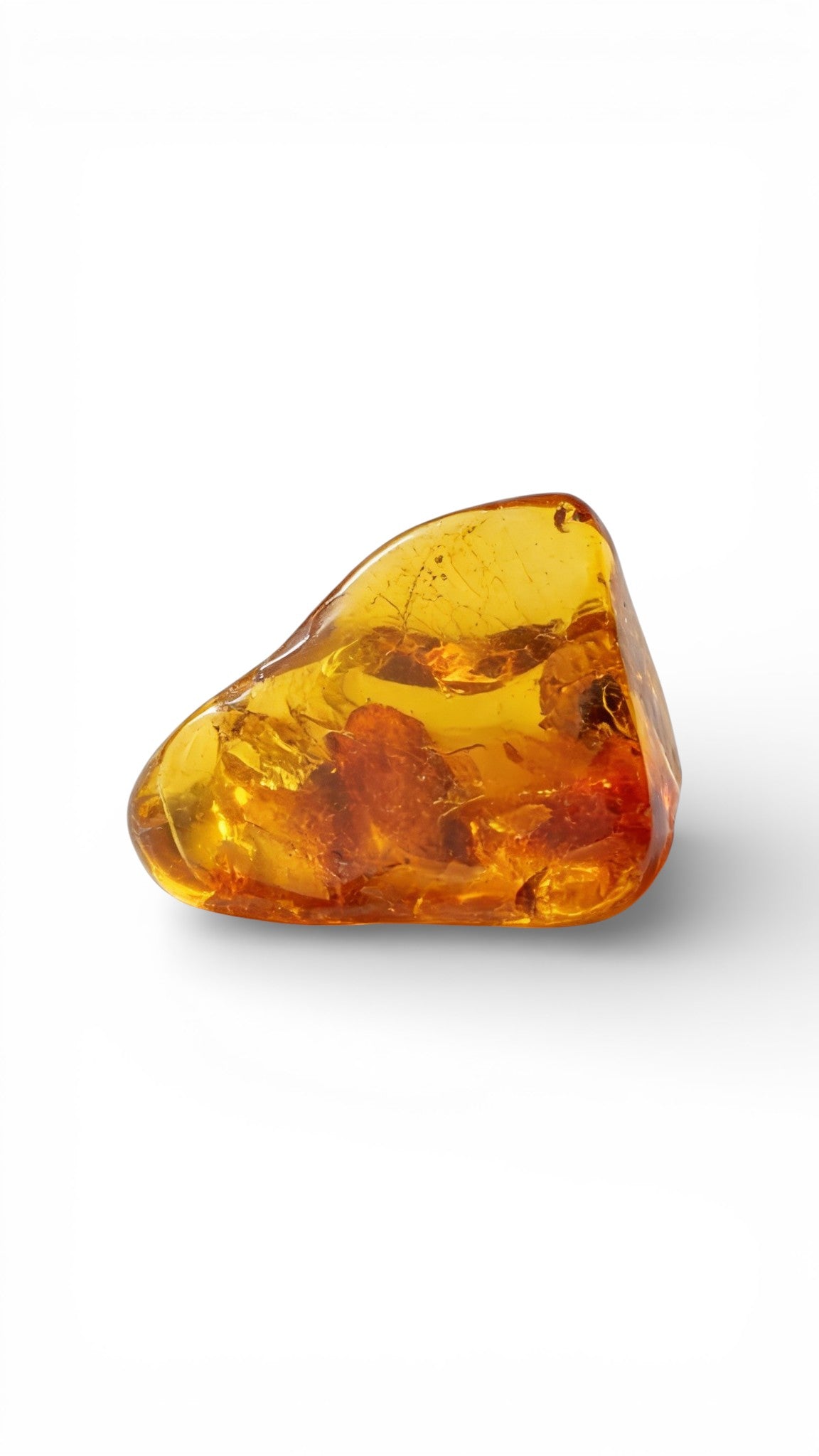 Amber Inclusions