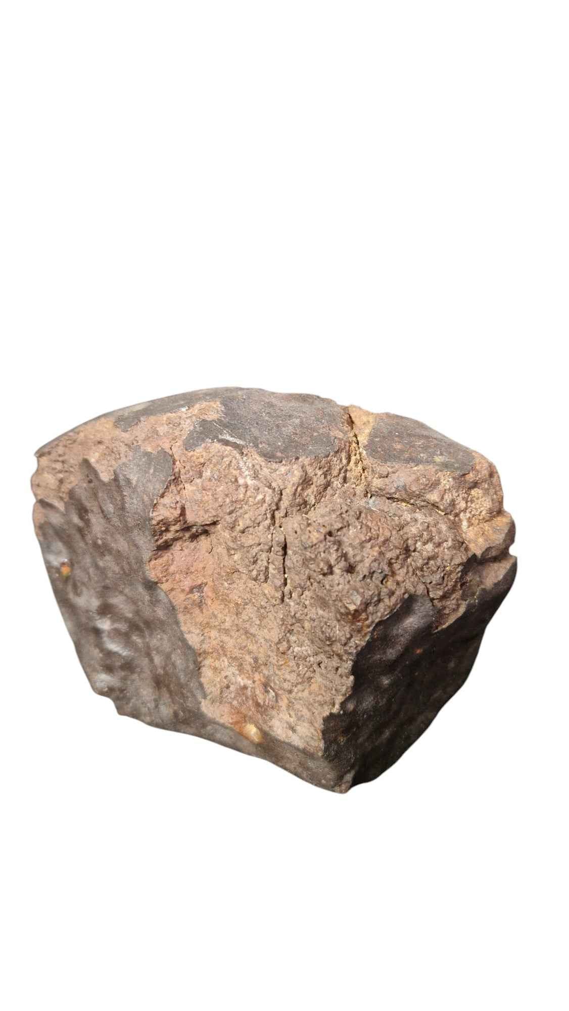 Meteorite 4,1kg - authentic fossil specimen, natural history by Fossils NH