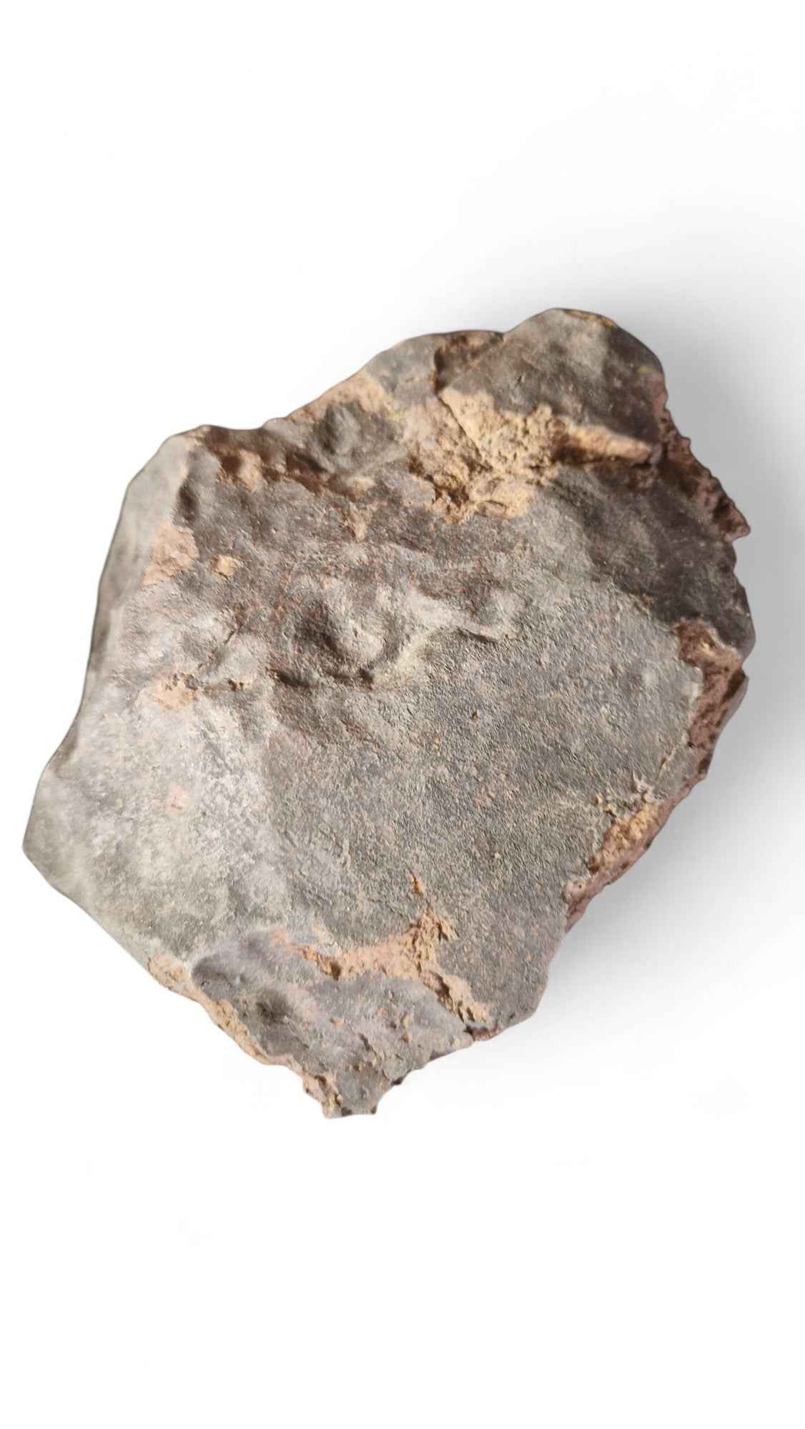 Meteorite 4,1kg - authentic fossil specimen, natural history by Fossils NH