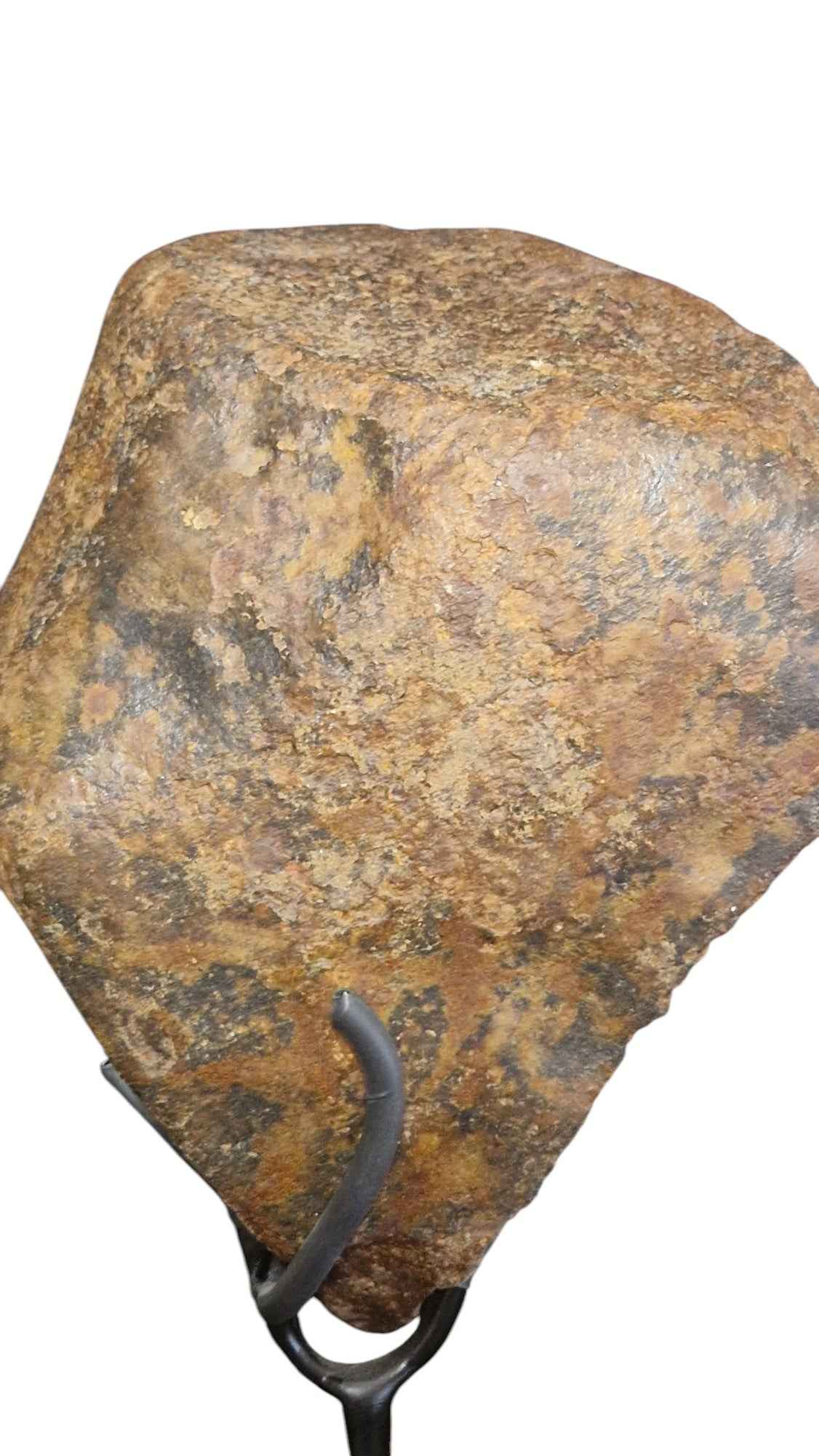 Meteorite On Stand 14kg - authentic fossil specimen, natural history by Fossils NH