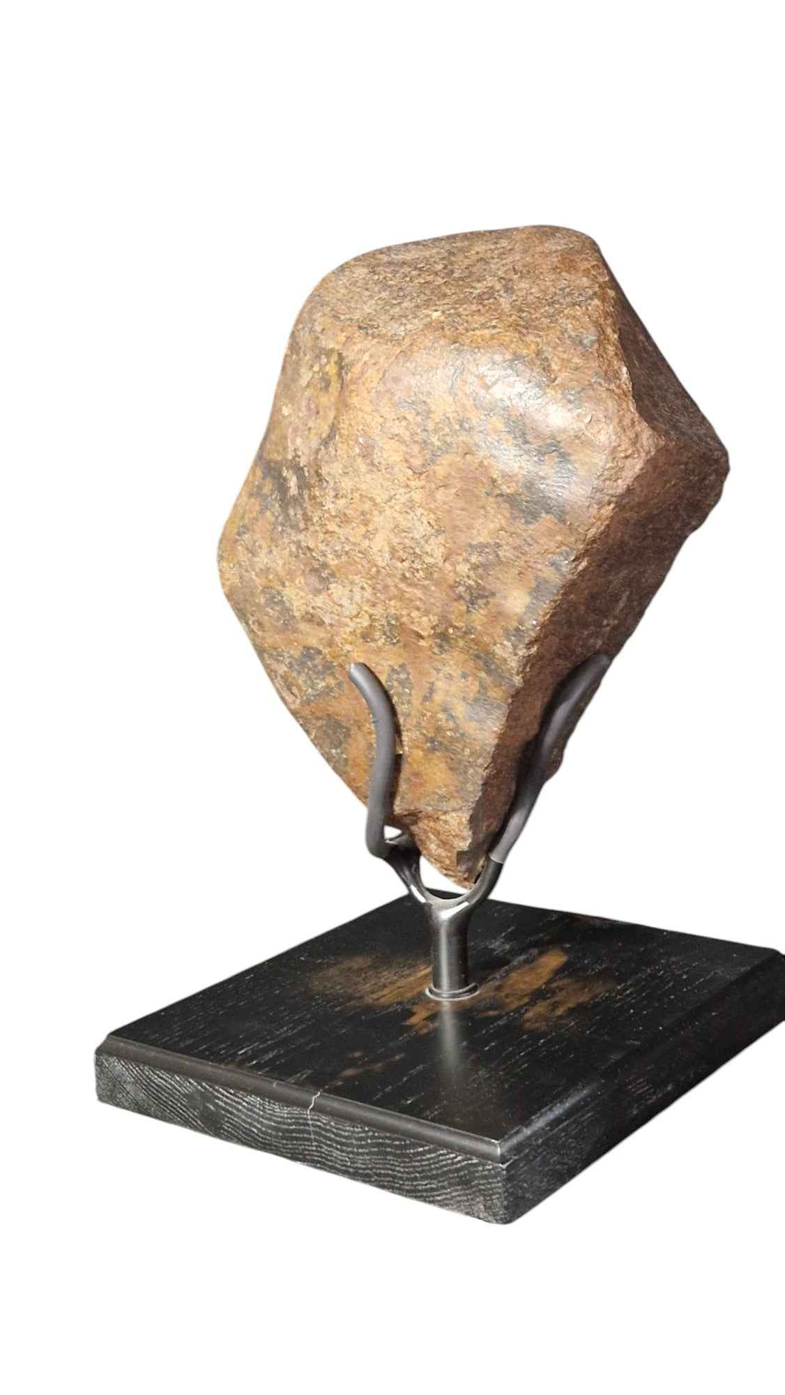 Meteorite On Stand 14kg - authentic fossil specimen, natural history by Fossils NH