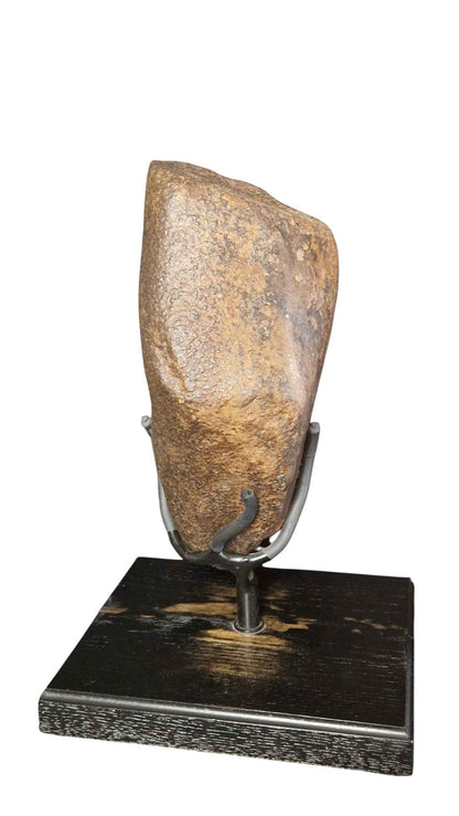 Meteorite On Stand 14kg - authentic fossil specimen, natural history by Fossils NH