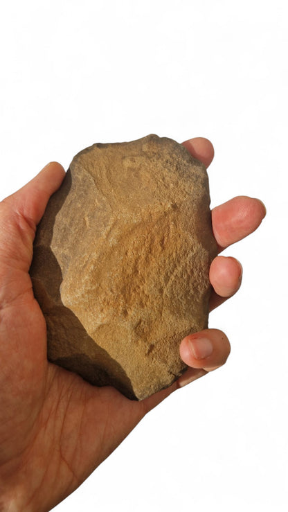 Acheulean Hand Axe 12cm Homo erectus Tool Morocco