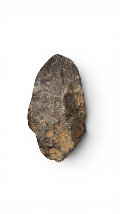 Acheulean Hand Axe 14,5cm - Homo erectus Tool from Sahara Desert