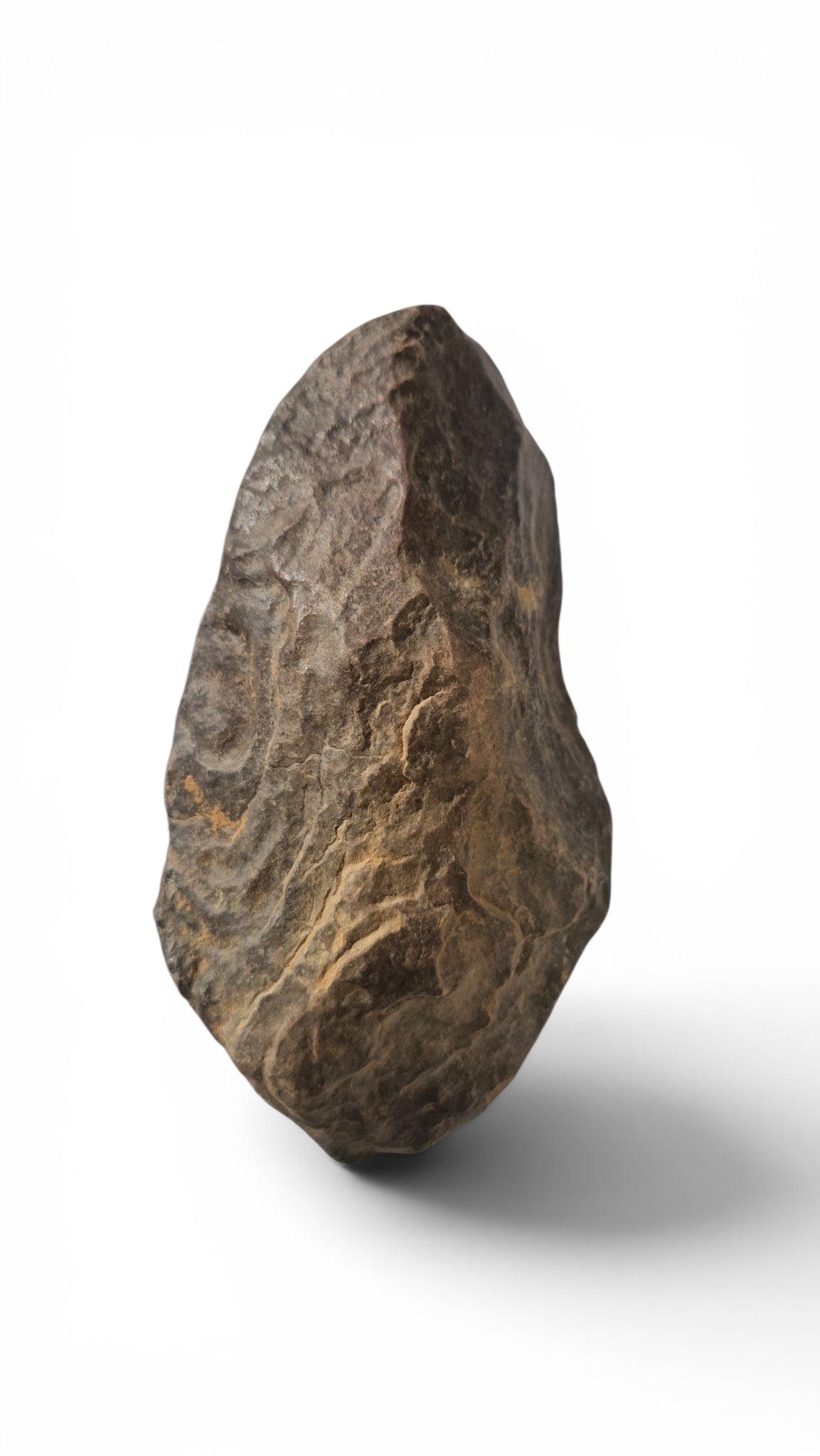 Acheulean Hand Axe 14,5cm - Homo erectus Tool from Sahara Desert 1