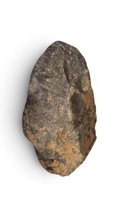 Acheulean Hand Axe 14,5cm - Homo erectus Tool from Sahara Desert 2