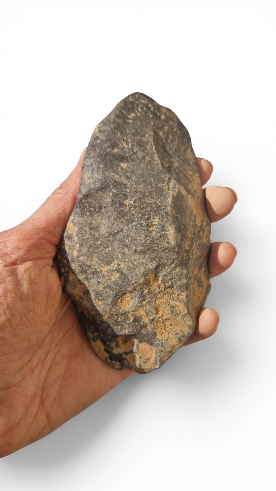 Acheulean Hand Axe 14,5cm - Homo erectus Tool from Sahara Desert 4