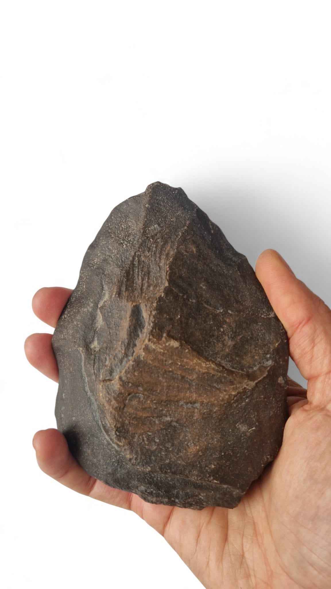 Acheulean Hand Axe 14,5cm - Homo erectus Tool from Sahara Desert