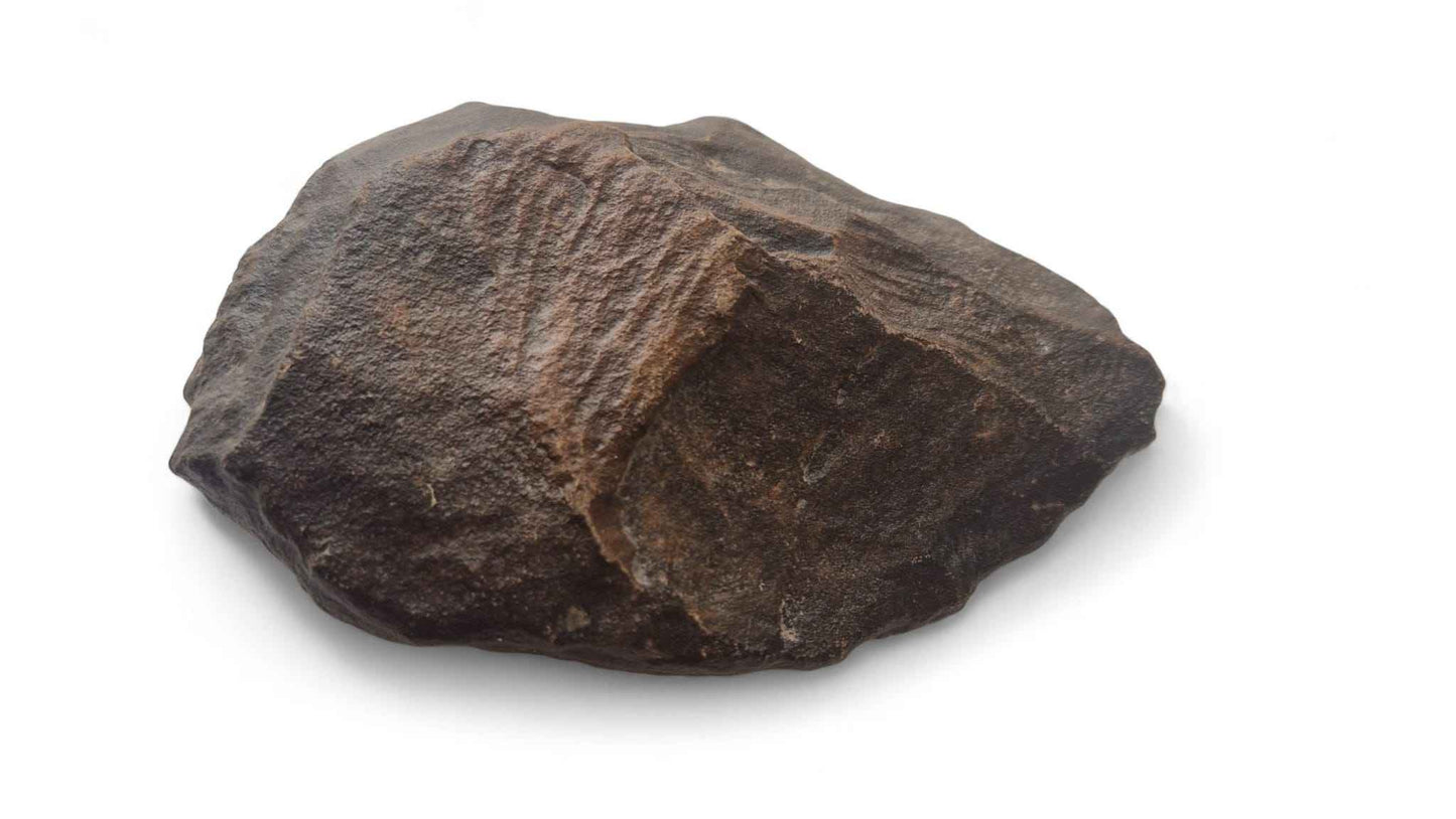 Acheulean Hand Axe 14,5cm - Homo erectus Tool from Sahara Desert