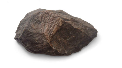 Acheulean Hand Axe 14,5cm - Homo erectus Tool from Sahara Desert