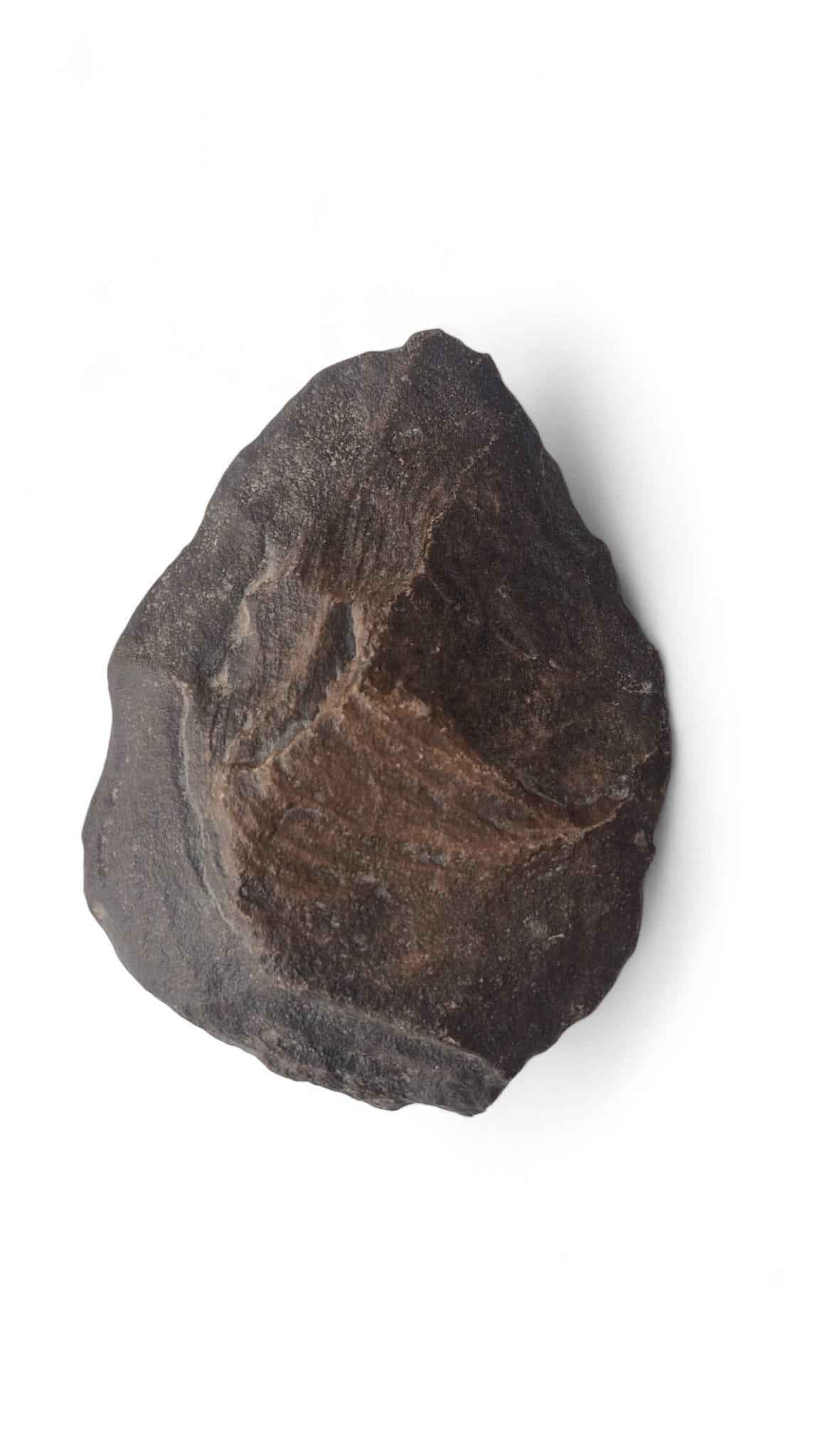 Acheulean Hand Axe 14,5cm - Homo erectus Tool from Sahara Desert