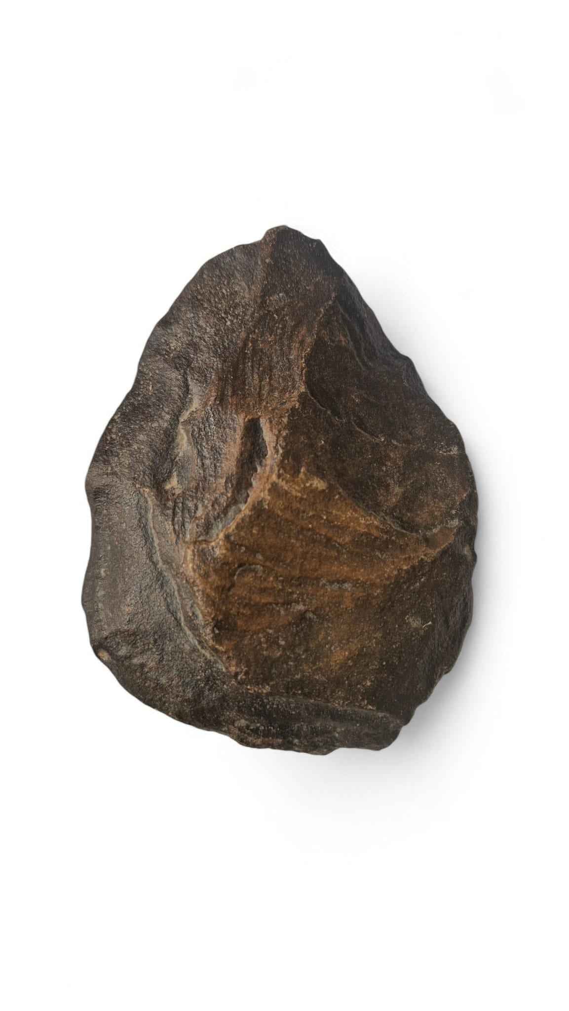 Acheulean Hand Axe 14,5cm - Homo erectus Tool from Sahara Desert