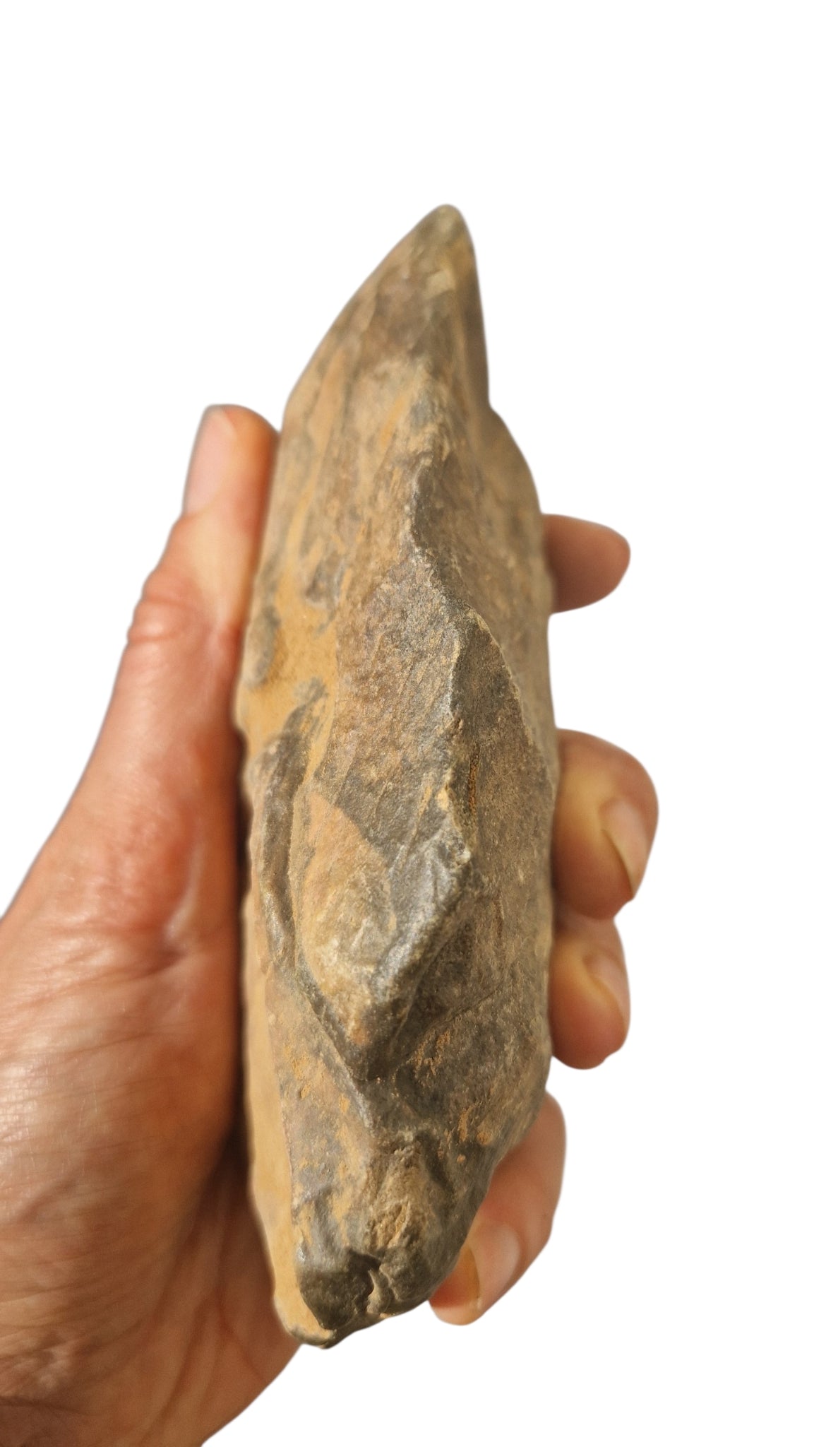 Acheulean Hand Axe 15,5cm - Homo erectus Tool from Sahara Desert 1