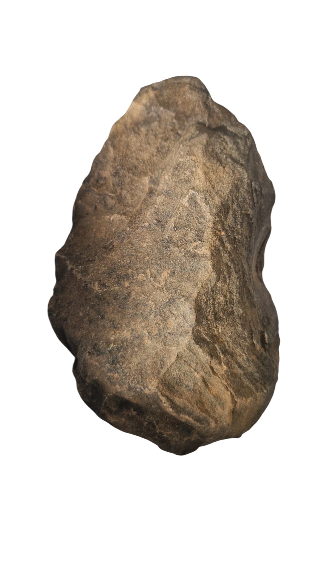 Acheulean Hand Axe 15,5cm - Homo erectus Tool from Sahara Desert 2