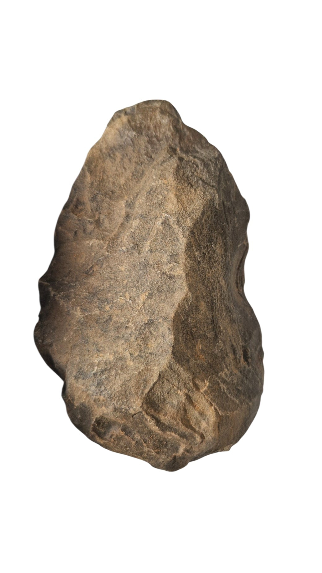 Acheulean Hand Axe 15,5cm - Homo erectus Tool from Sahara Desert 4