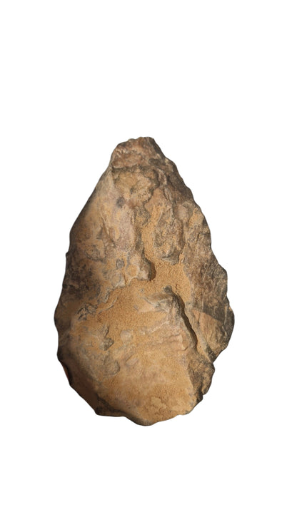 Acheulean Hand Axe 15,5cm - Homo erectus Tool from Sahara Desert 5