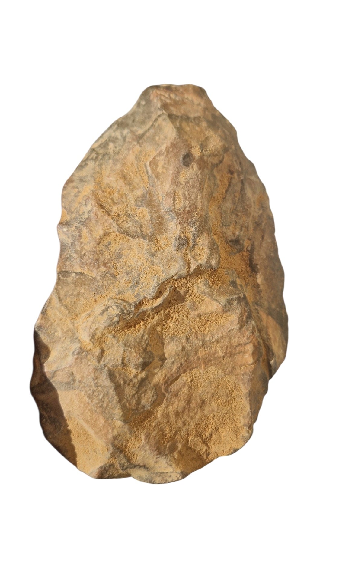Acheulean Hand Axe 15,5cm - Homo erectus Tool from Sahara Desert 7