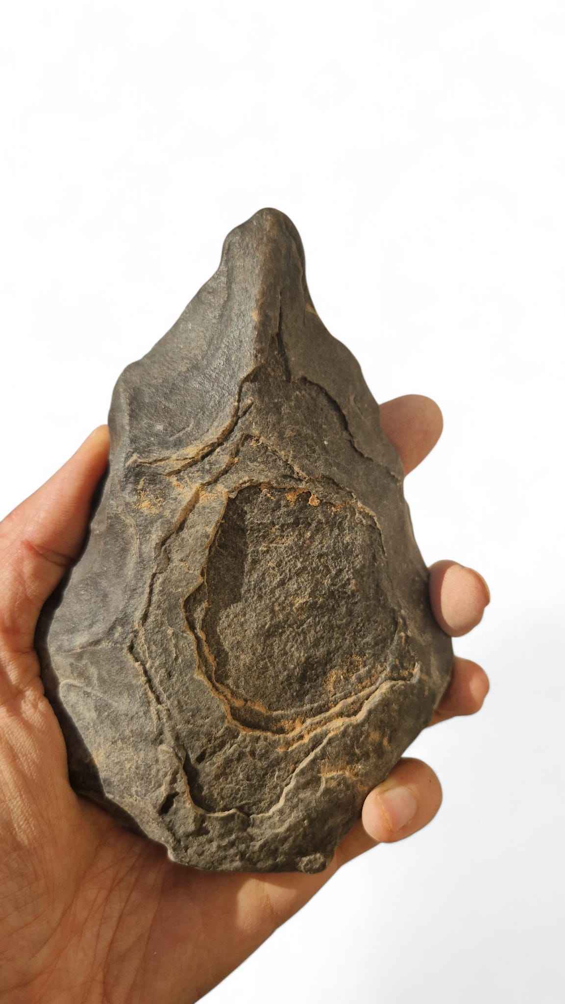 Acheulean Hand Axe 19cm - Homo erectus Tool from Sahara Desert