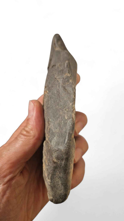 Acheulean Hand Axe 19cm - Homo erectus Tool from Sahara Desert