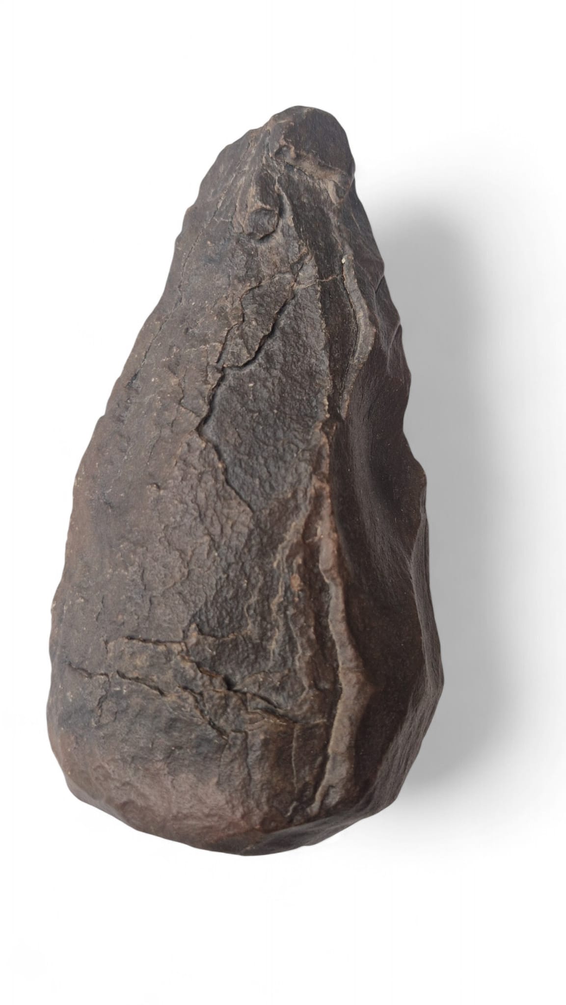 Acheulean Hand Axe 16cm - Homo erectus Tool Morocco