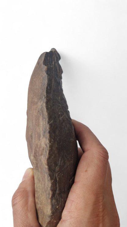 Acheulean Hand Axe 16cm - Homo erectus Tool Morocco 2