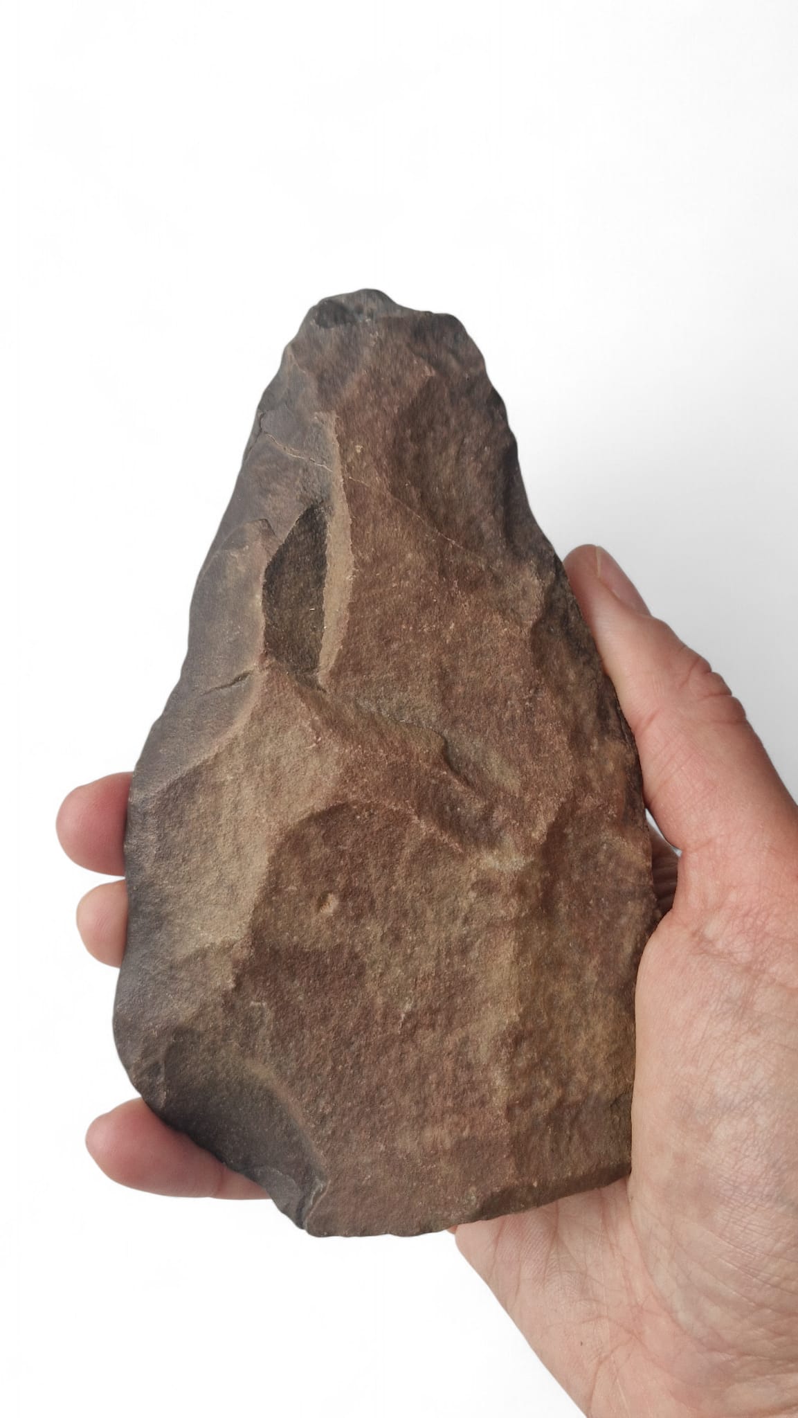 Acheulean Hand Axe 16cm - Homo erectus Tool Morocco 7