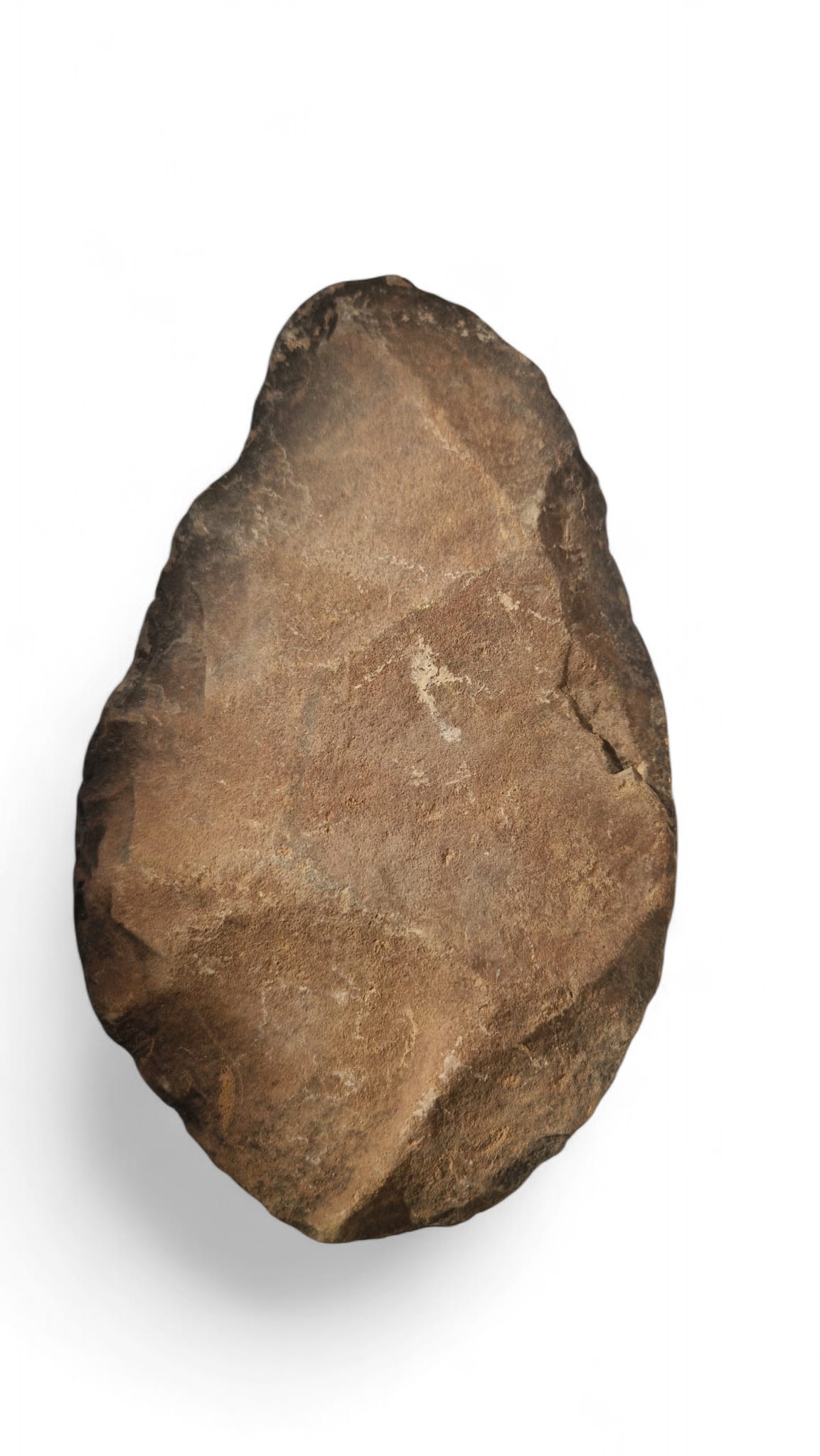 Acheulean Hand Axe 19cm - Homo erectus Tool from Sahara Desert 1