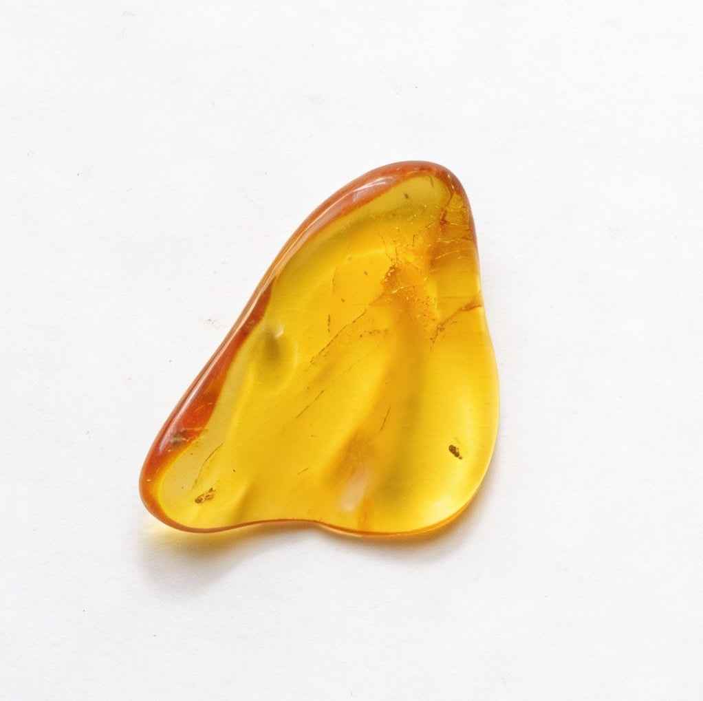 Amber with Insect Inclusion – Eocene Fossil 3.2cm