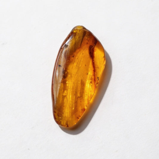Amber with Insect Inclusion – Eocene Fossil 4,2cm