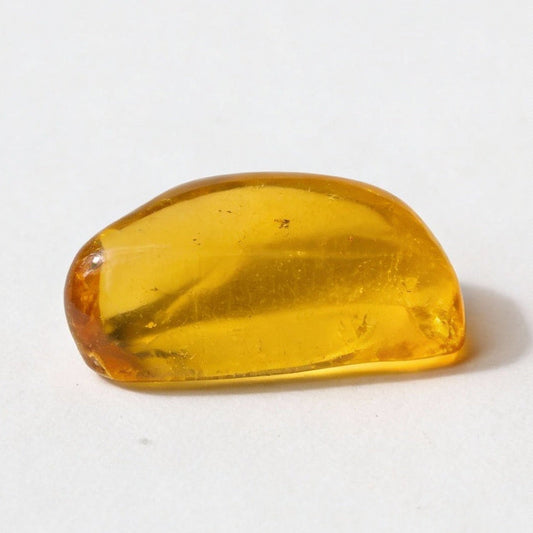 Amber with Insect Inclusion – Eocene Fossil 3,8cm