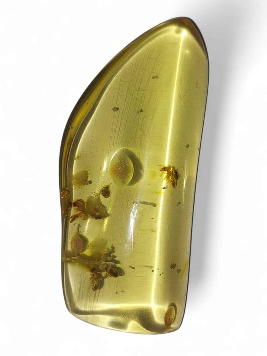 Amber with Multiple Termite Inclusions – 7.1 cm Eocene Fossil | Colombia