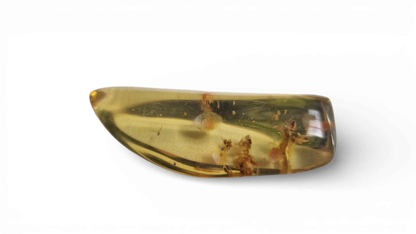 Amber with Multiple Termite Inclusions – 7.1 cm Eocene Fossil | Colombia