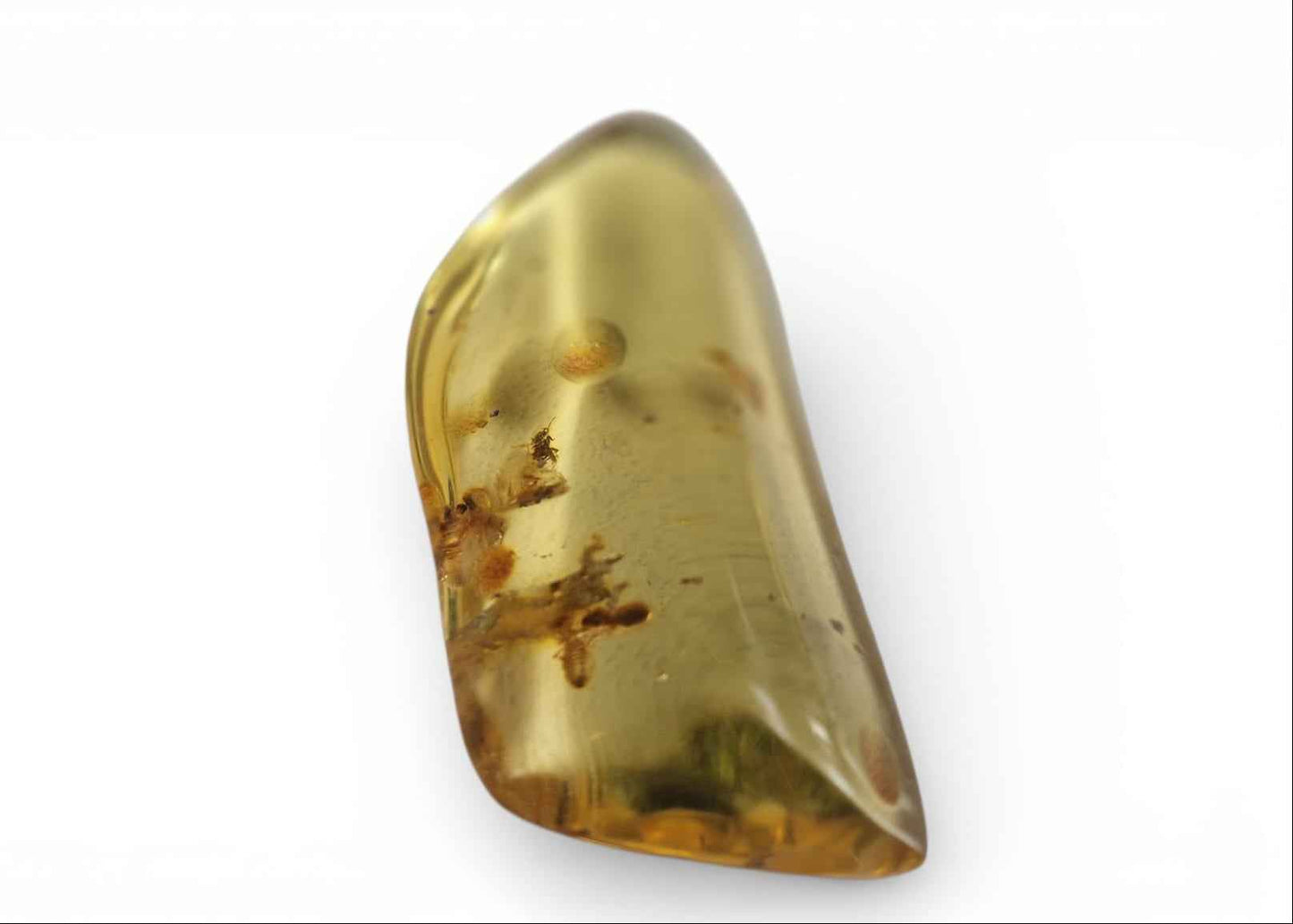 Amber with Multiple Termite Inclusions – 7.1 cm Eocene Fossil | Colombia