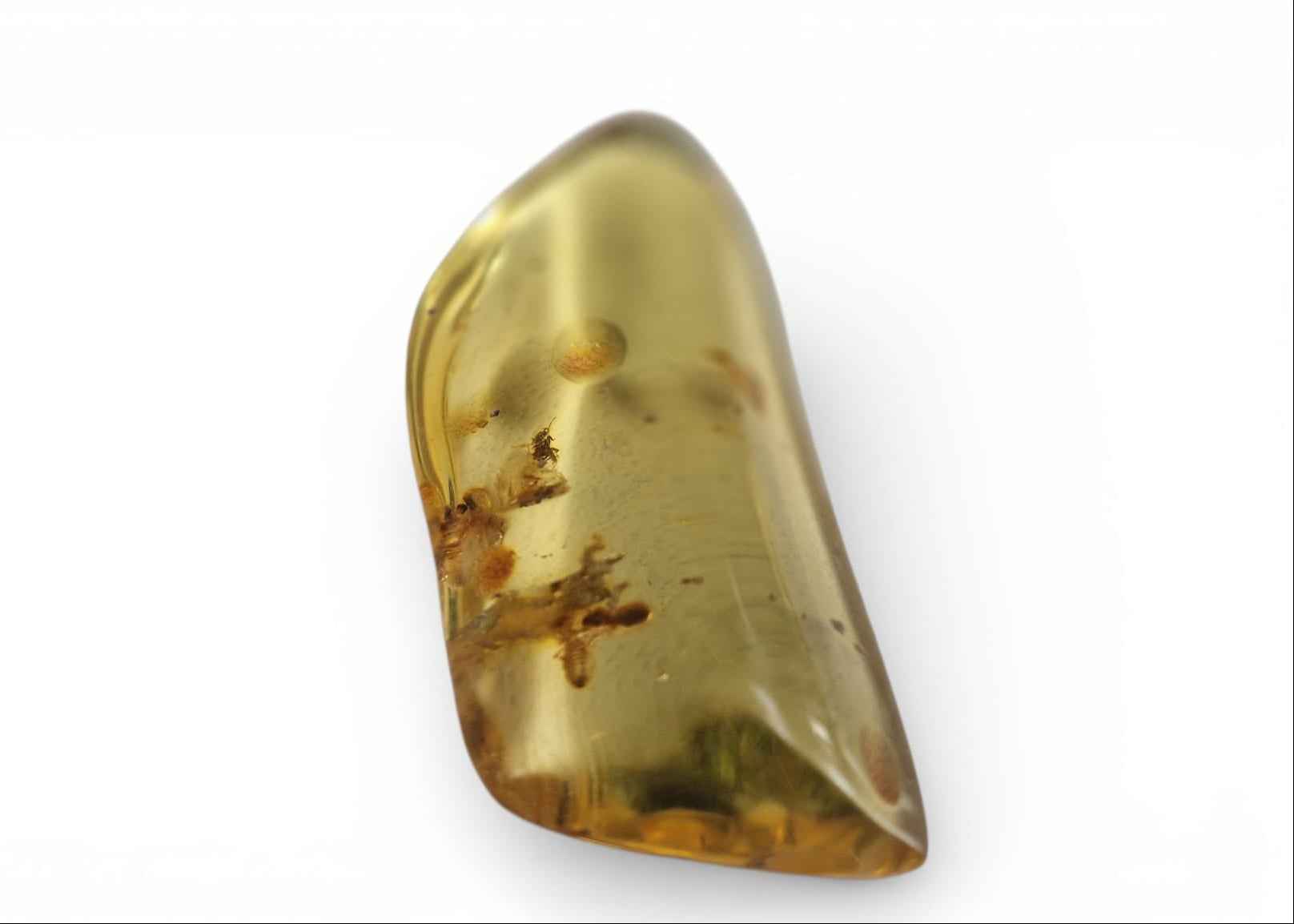 Amber with Multiple Termite Inclusions – 7.1 cm Eocene Fossil | Colombia