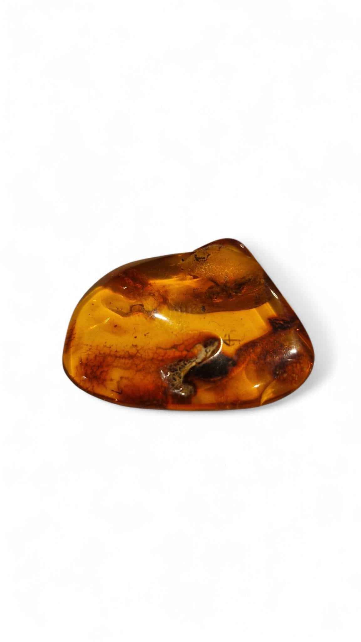 Amber with Multiple Insect Inclusions – 3.3 cm Eocene Fossil | Ukraine