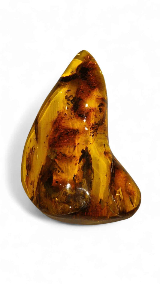 Amber with Multiple Insect Inclusions – 9.8 cm Eocene Fossil | Ukraine