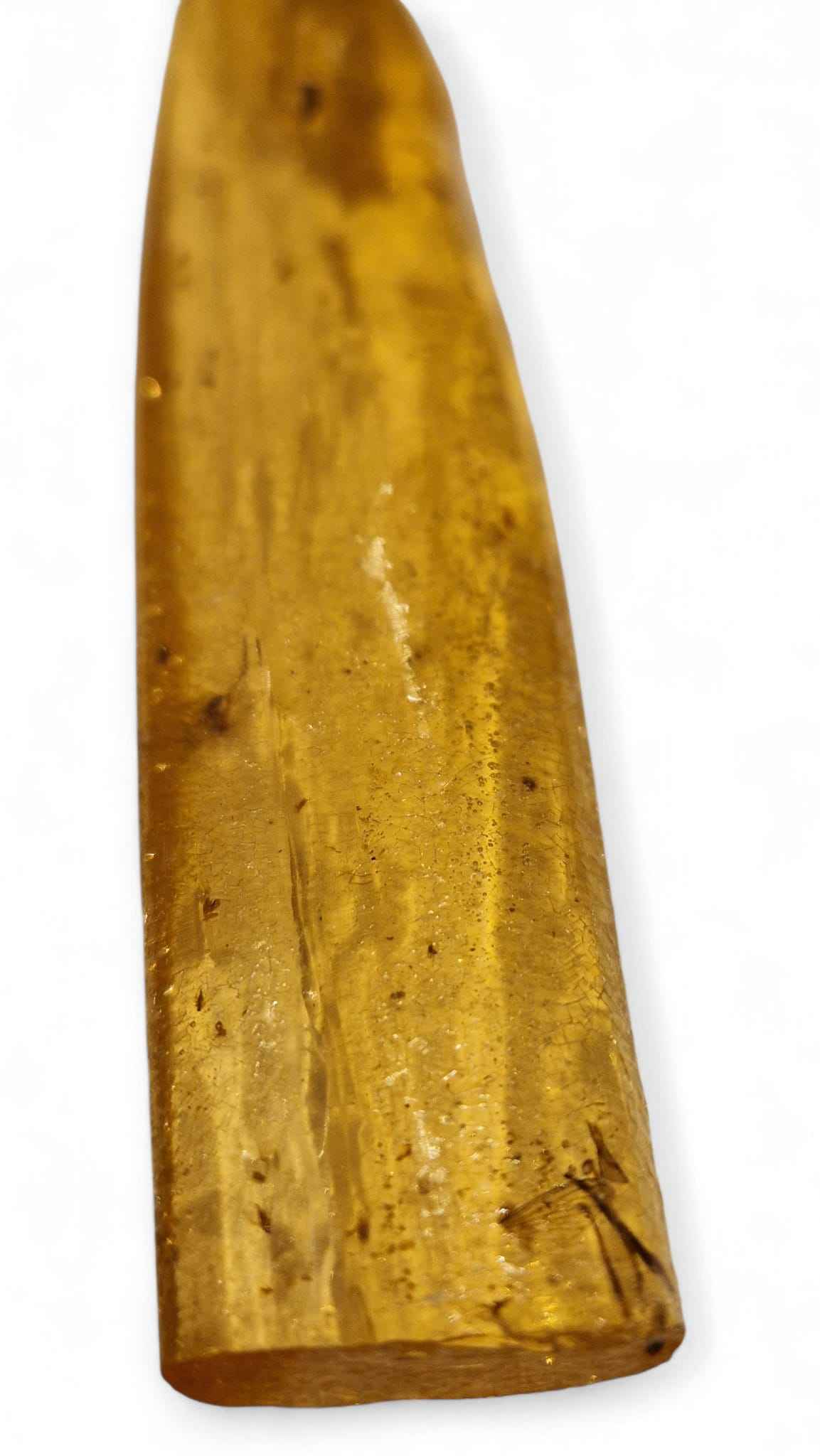 Amber with Multiple Insect Inclusions – 22.1 cm Eocene Fossil | Ukraine