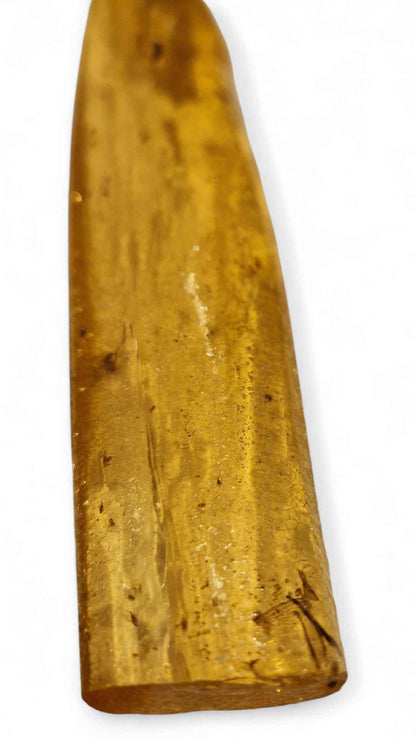 Amber with Multiple Insect Inclusions – 22.1 cm Eocene Fossil | Ukraine
