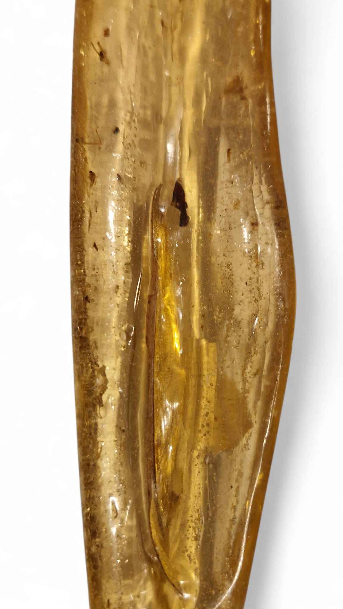 Amber with Multiple Insect Inclusions – 22.1 cm Eocene Fossil | Ukraine