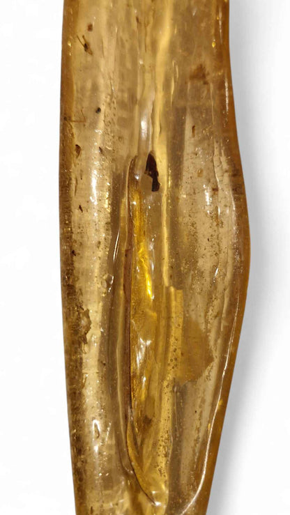 Amber with Multiple Insect Inclusions – 22.1 cm Eocene Fossil | Ukraine