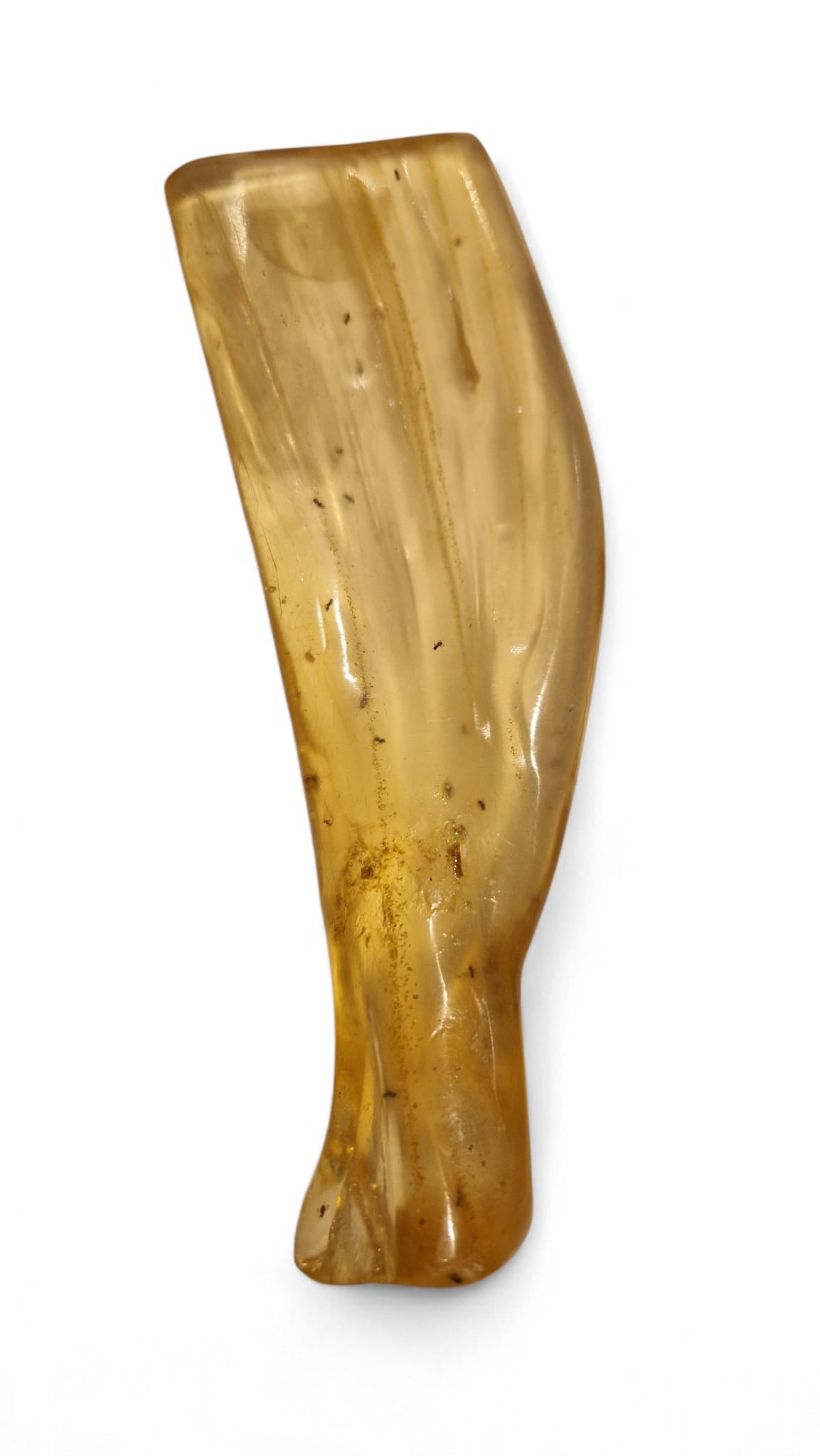 Amber with insect inclusions 41